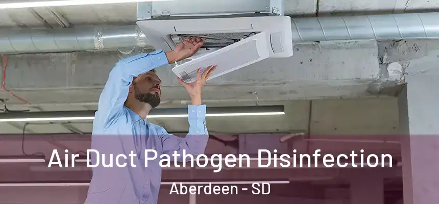  Air Duct Pathogen Disinfection Aberdeen - SD