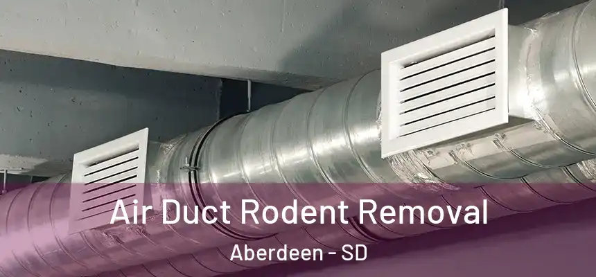 Air Duct Rodent Removal Aberdeen - SD