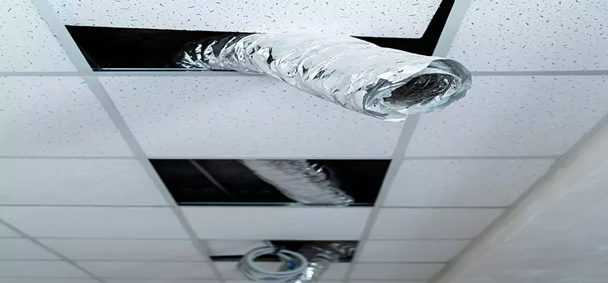 Our Air Duct Pet Hair Removal Services in Aberdeen, SD