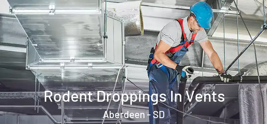  Rodent Droppings In Vents Aberdeen - SD