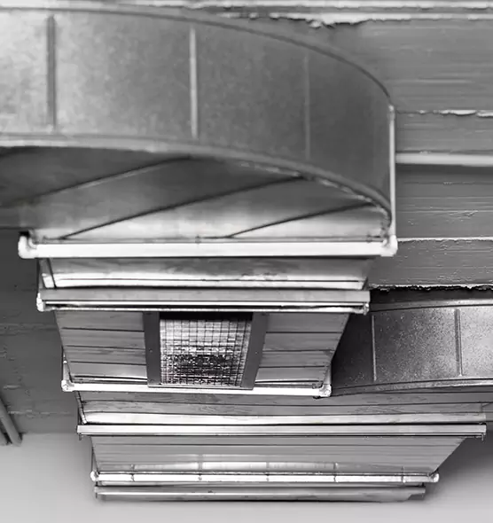 Professional Air Duct Pest Removal in Aberdeen, SD