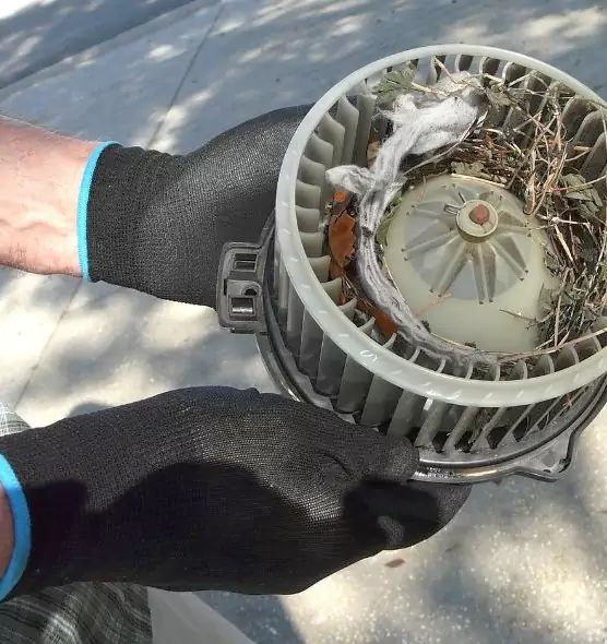 About Air Duct Rat Removal in Aberdeen, SD