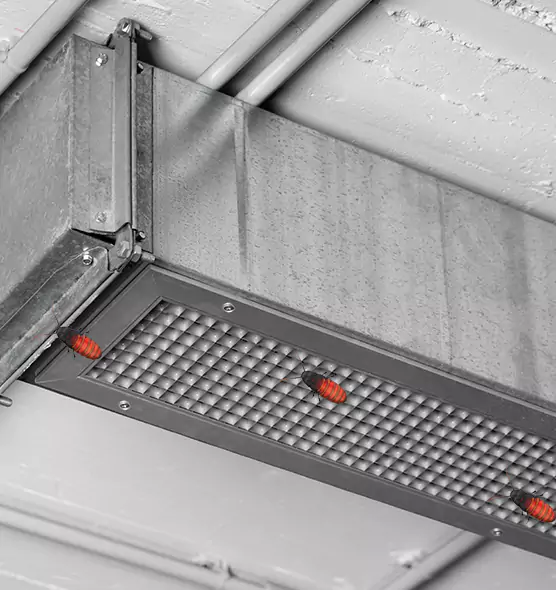 Affordable Insect Removal from Air Ducts in Aberdeen, SD